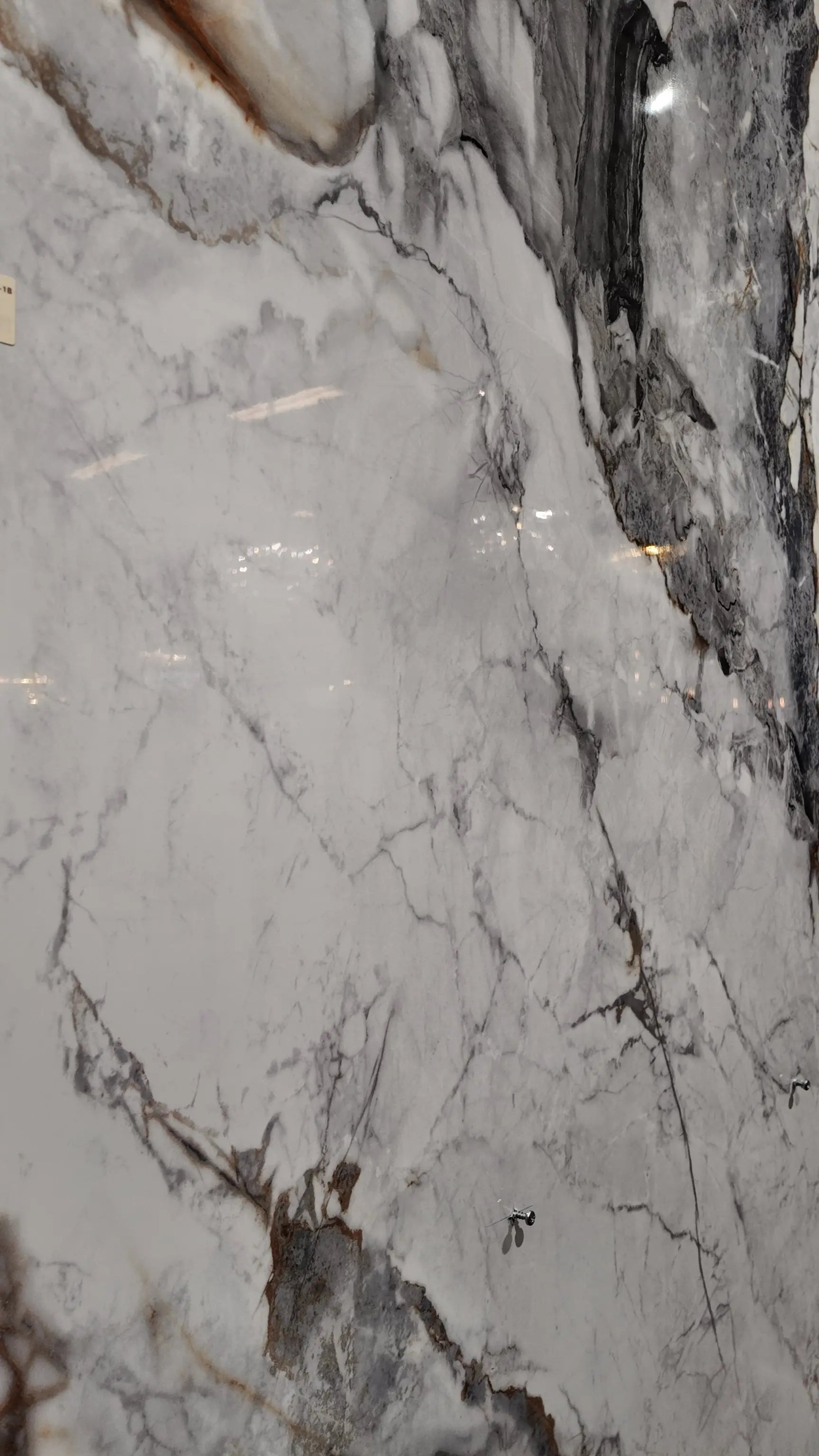 Wandpaneel Hoogglans Paonazzo - Blue Beige Lampen & Meer