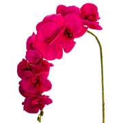 Kunstorchidee - Tak - Roze - Phalaenopsis