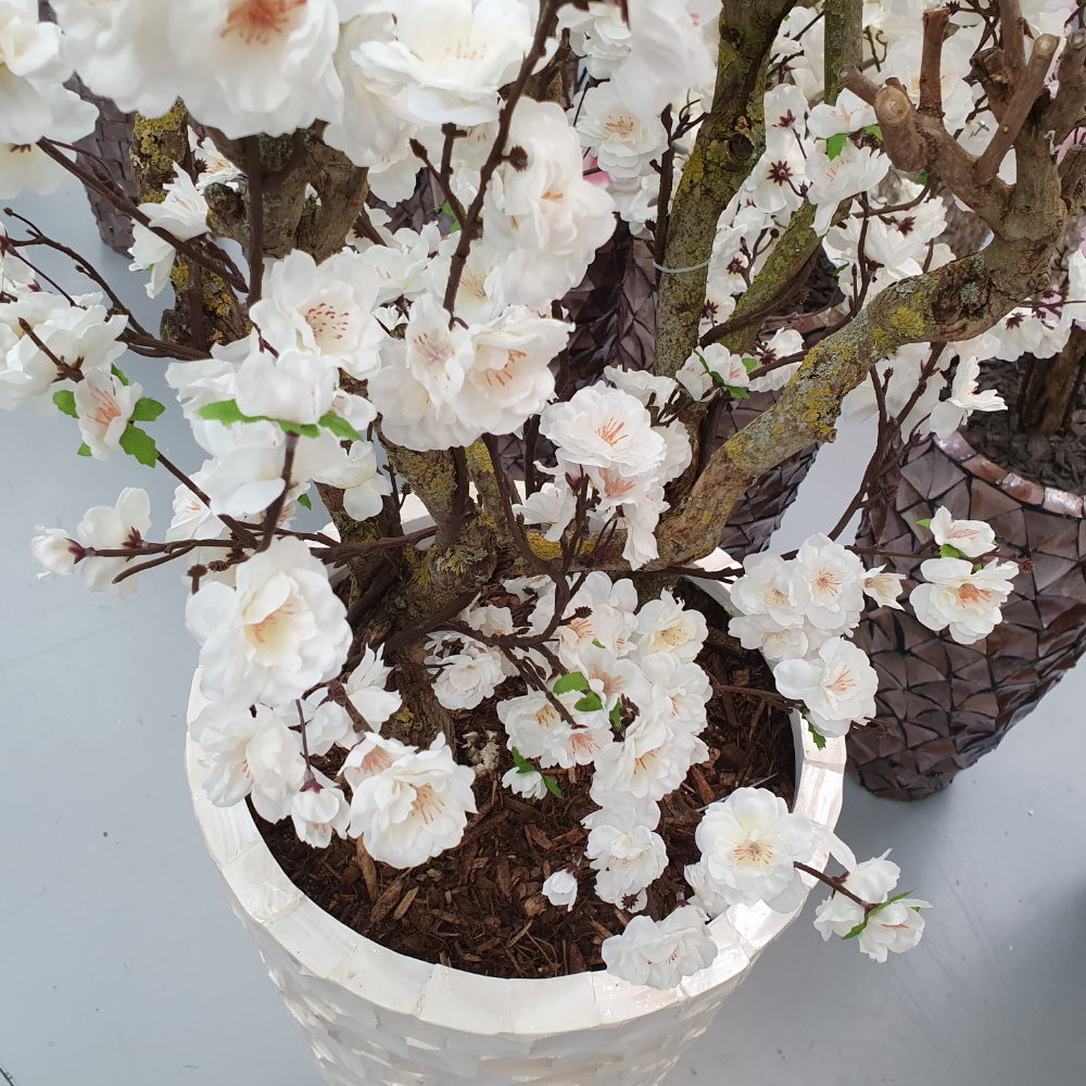 Schelpenvaas - Mother of Pearl