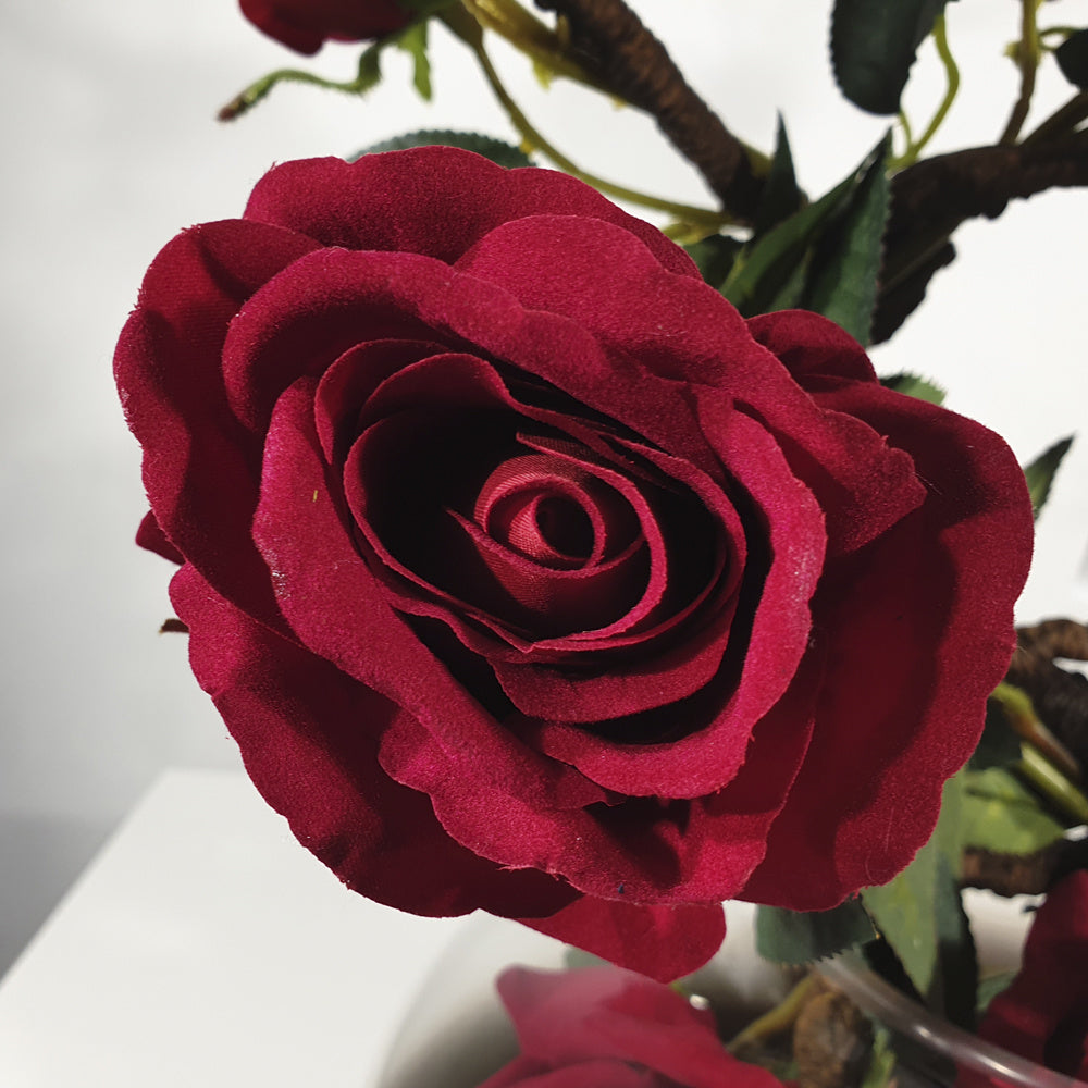 Flowers - Red Roses