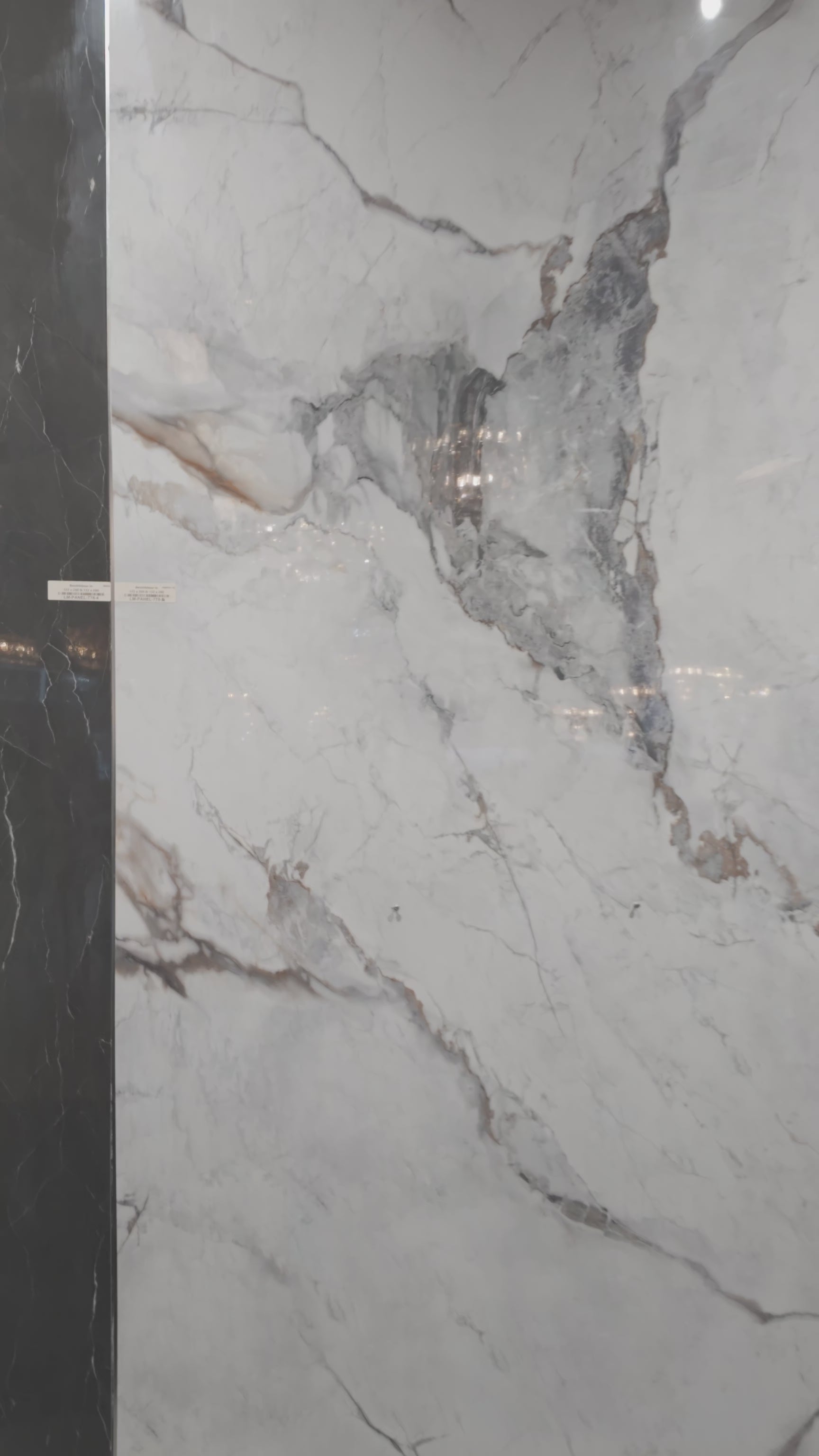 Load video: Wall panel High Gloss Paonazzo - Blue Beige